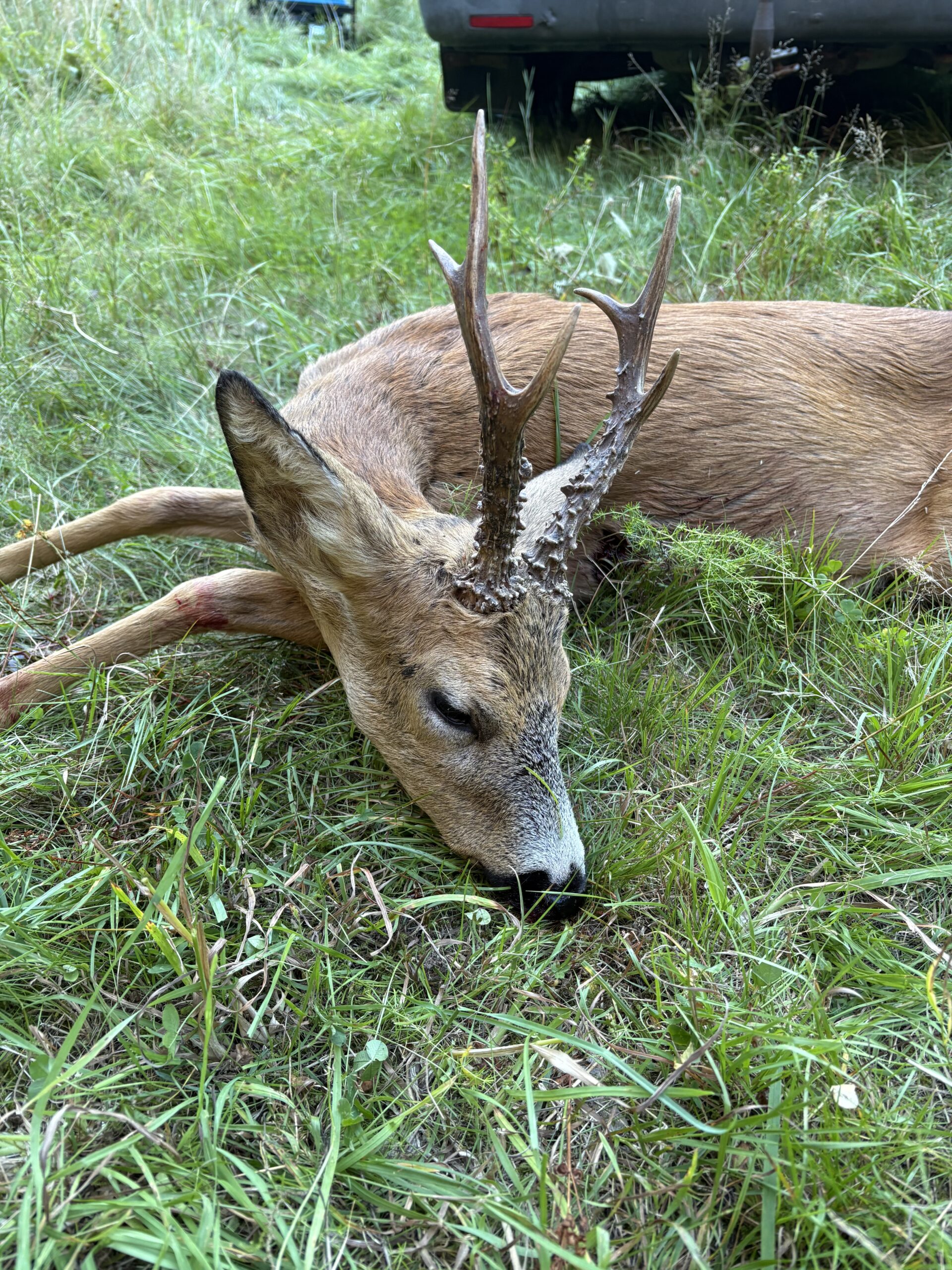 Blindvejen – 6ender